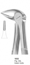  Fig. 33L lower roots 